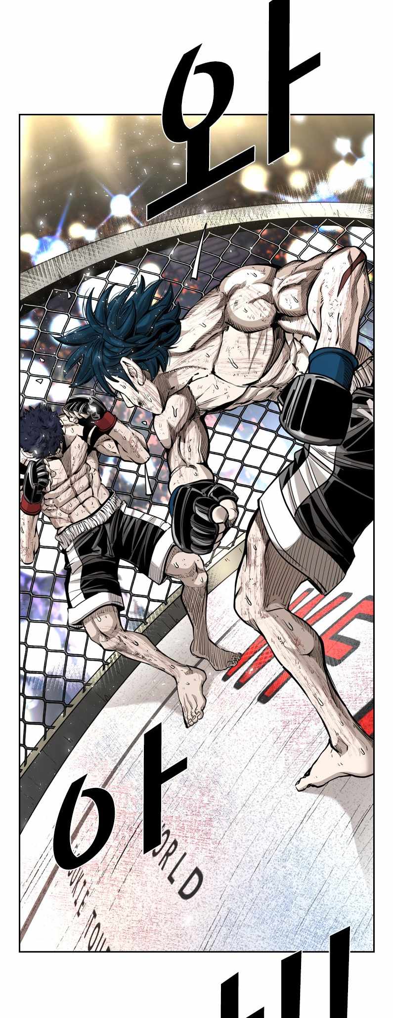 Read Shark Manga Online