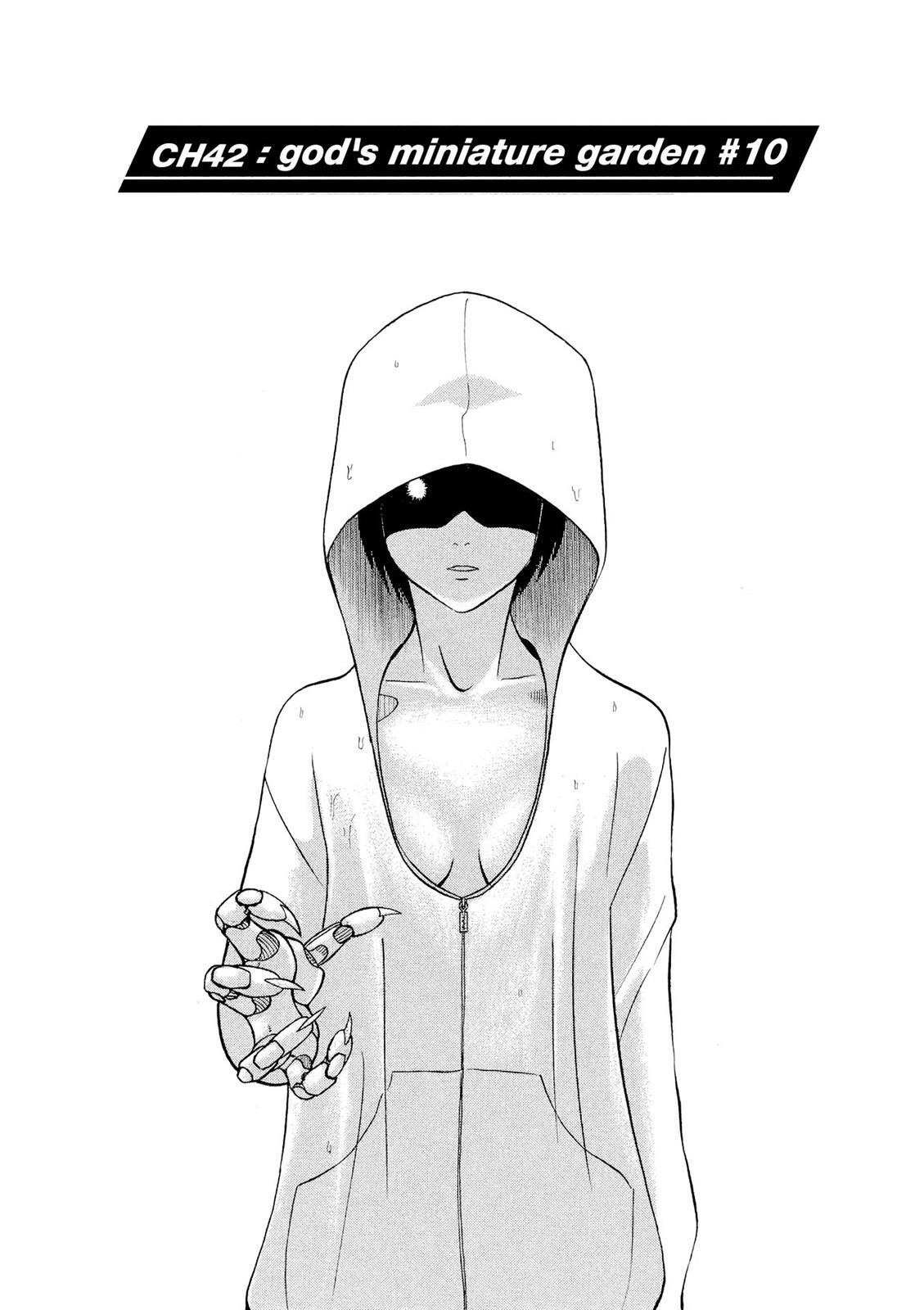 Read Tetsuwan Birdy Evolution Manga Online