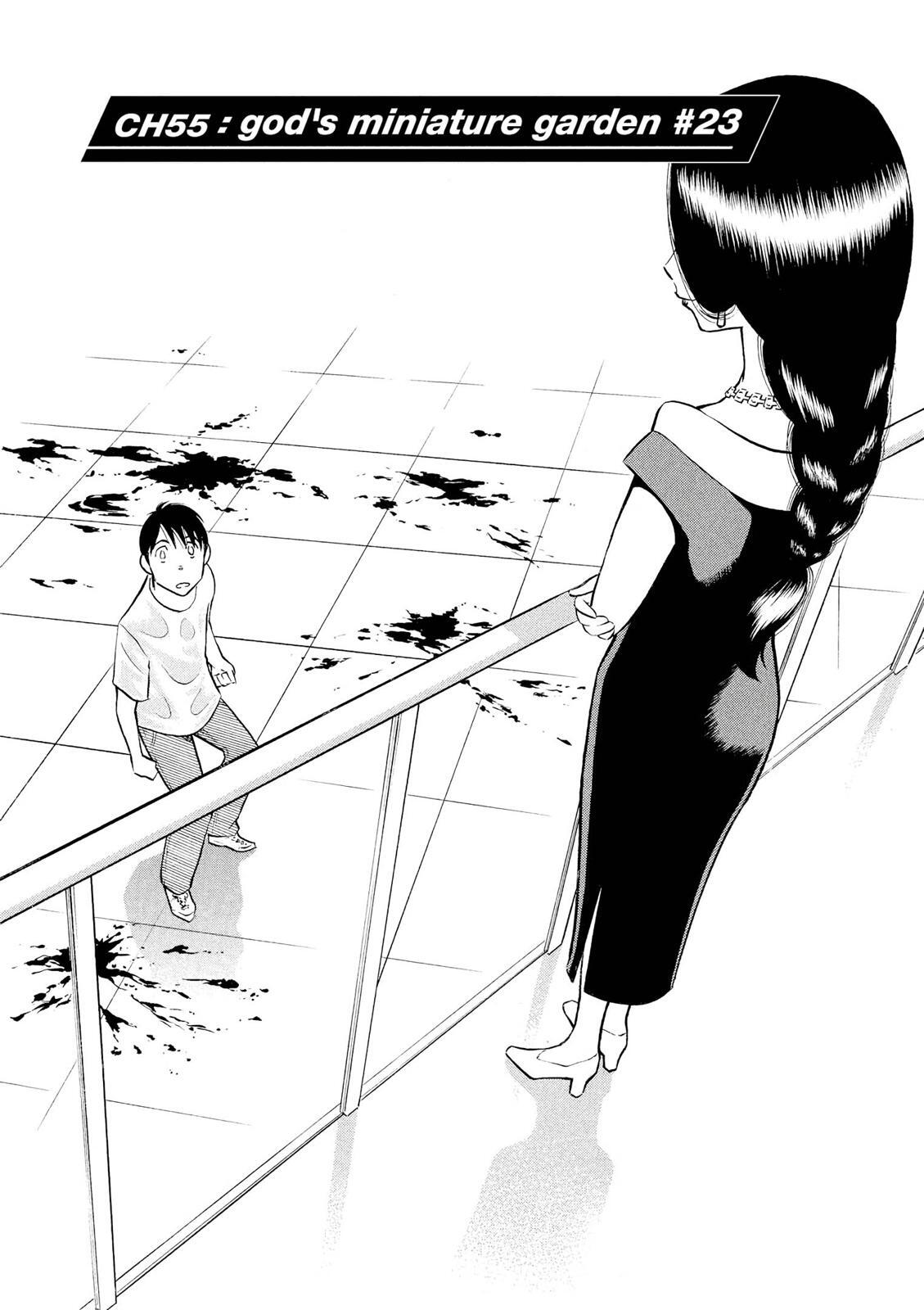 Read Tetsuwan Birdy Evolution Manga Online