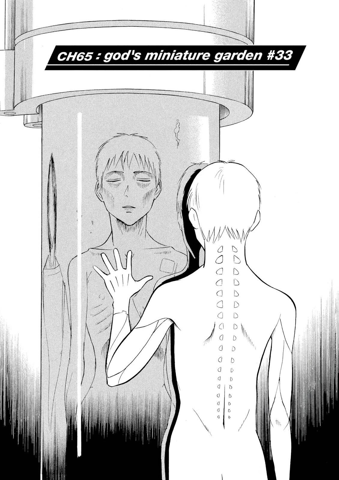 Read Tetsuwan Birdy Evolution Manga Online