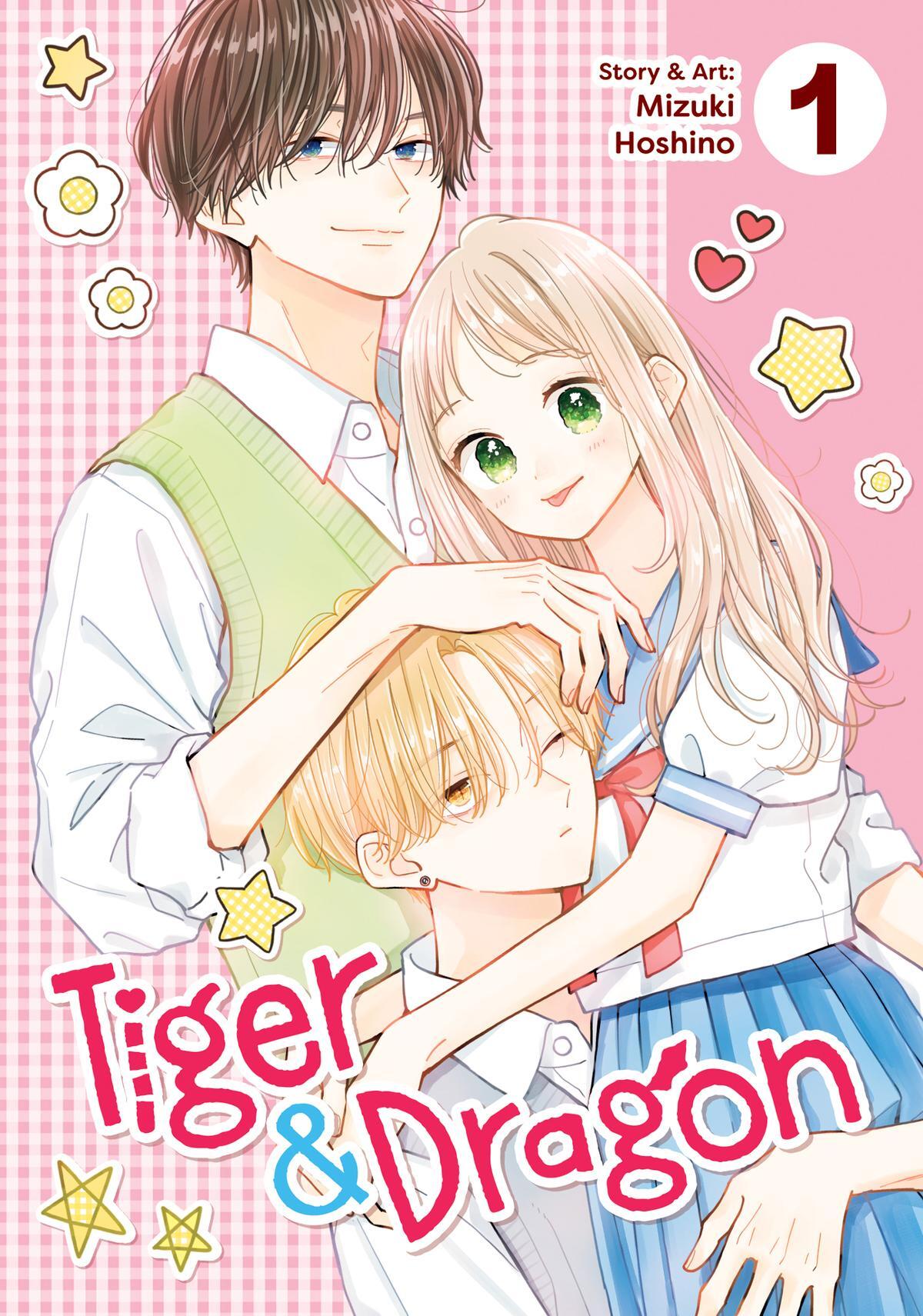 Read Tiger & Dragon Manga Online