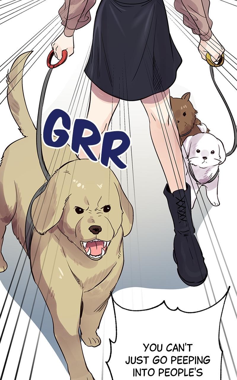 Read Time Roulette Manga Online