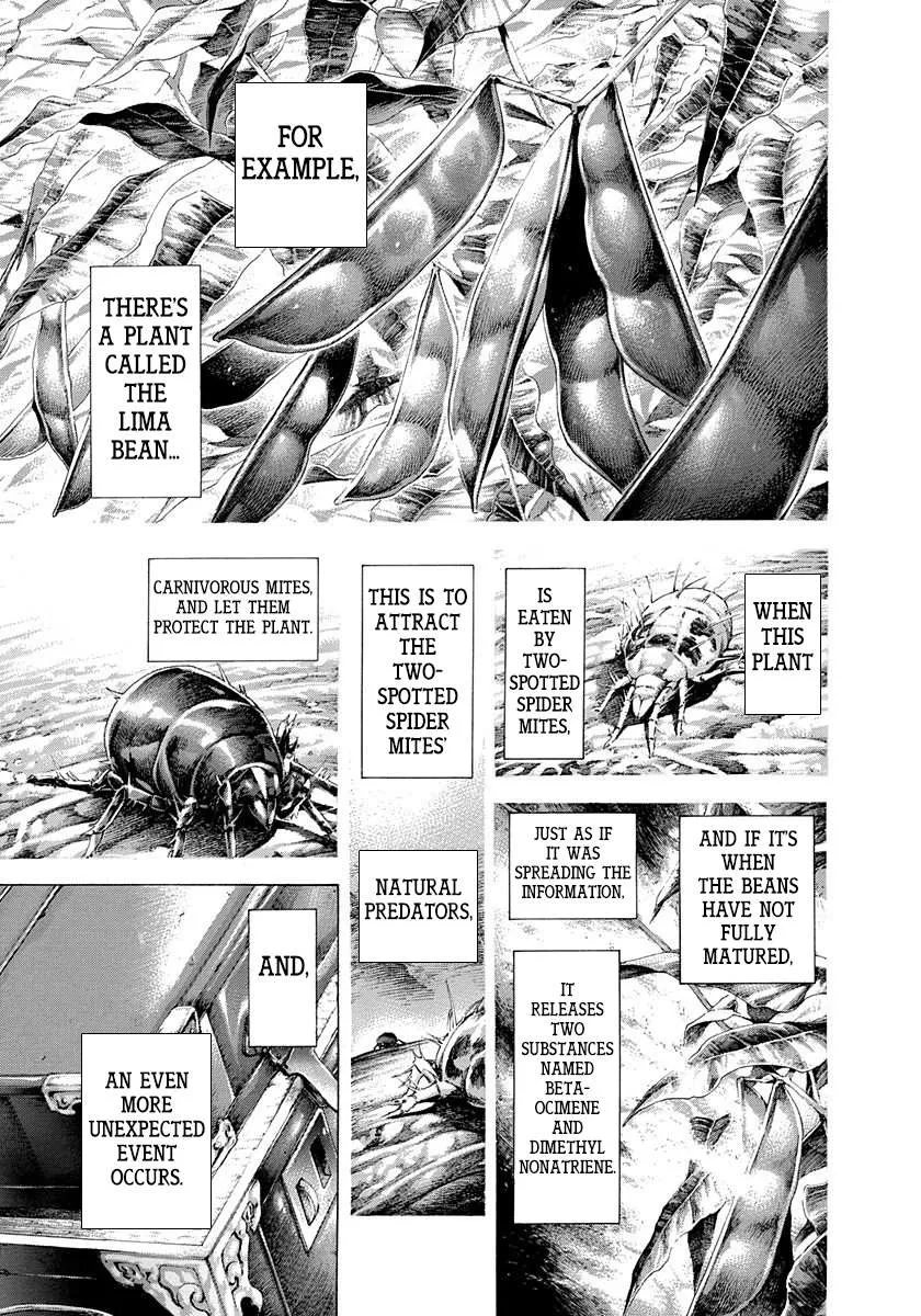 Read Usogui Manga Online