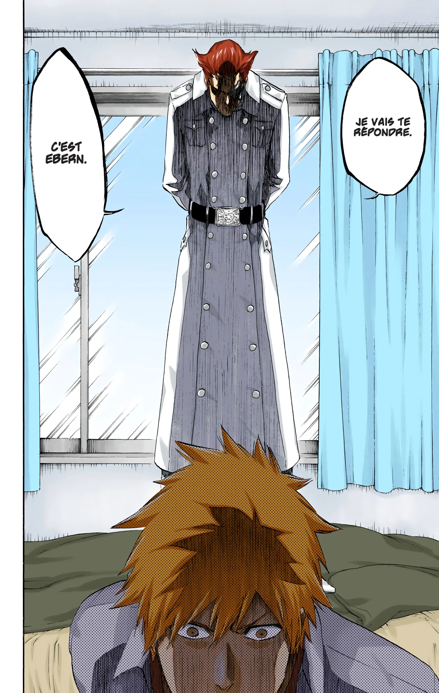 Read Bleach FR Manga Online