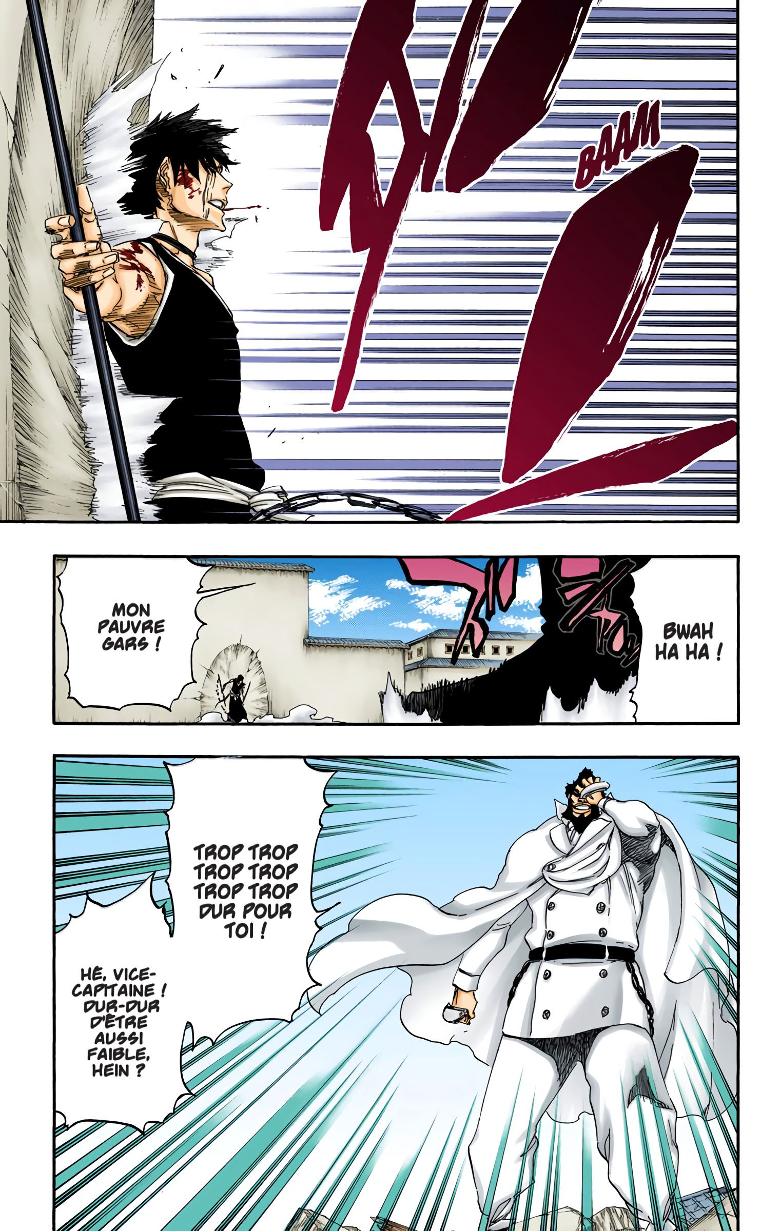 Read Bleach FR Manga Online