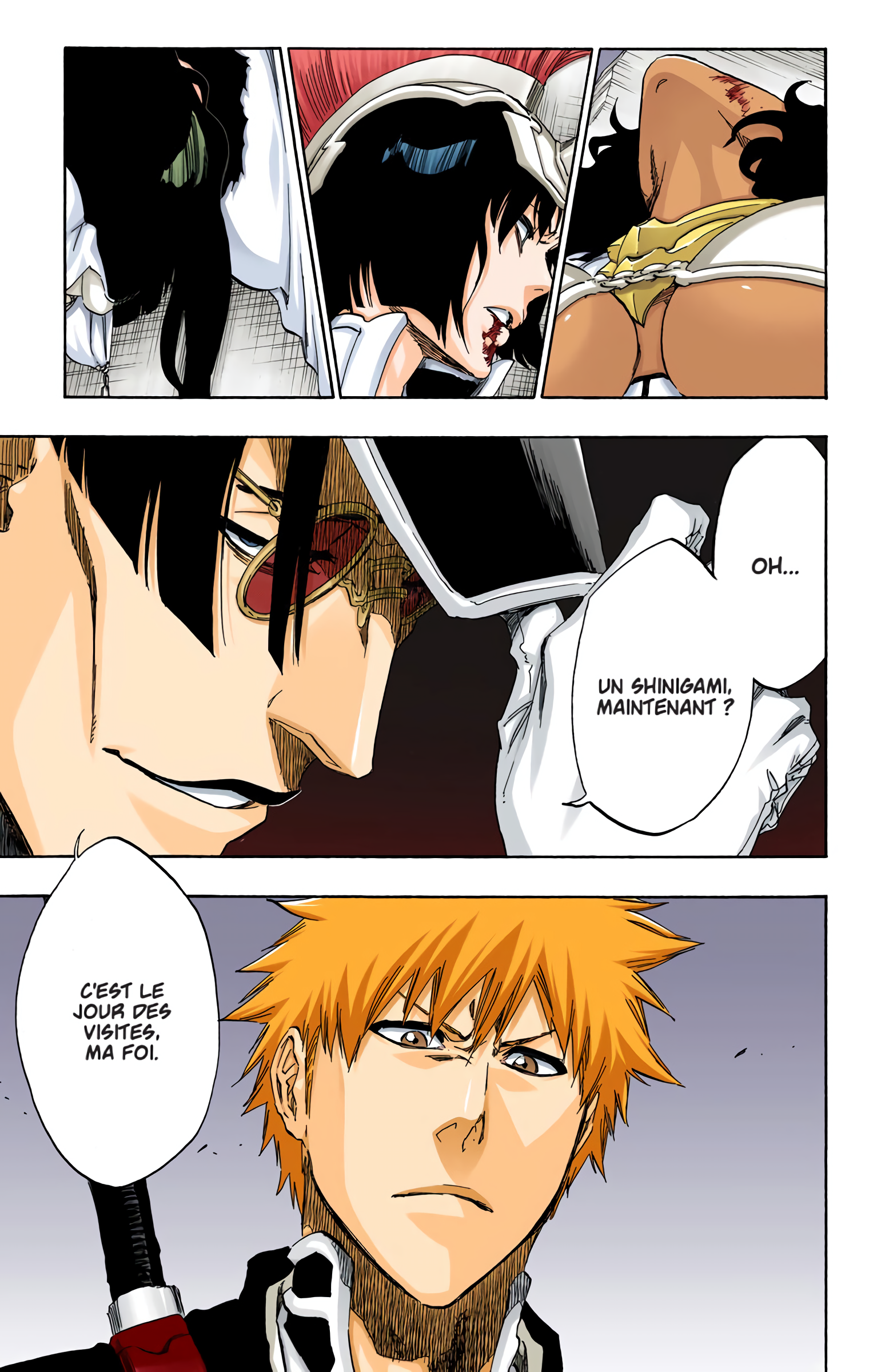 Read Bleach FR Manga Online