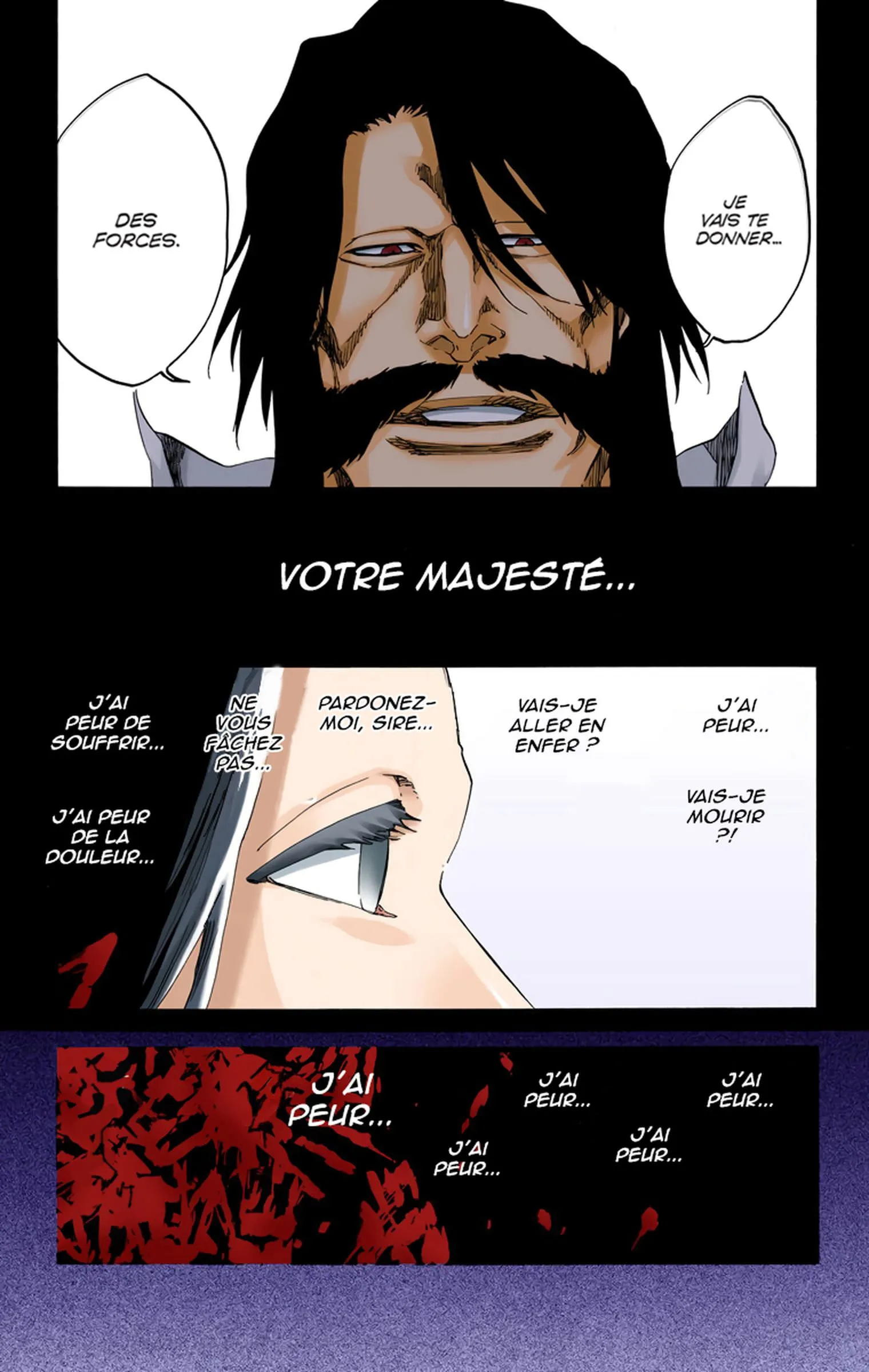 Read Bleach FR Manga Online