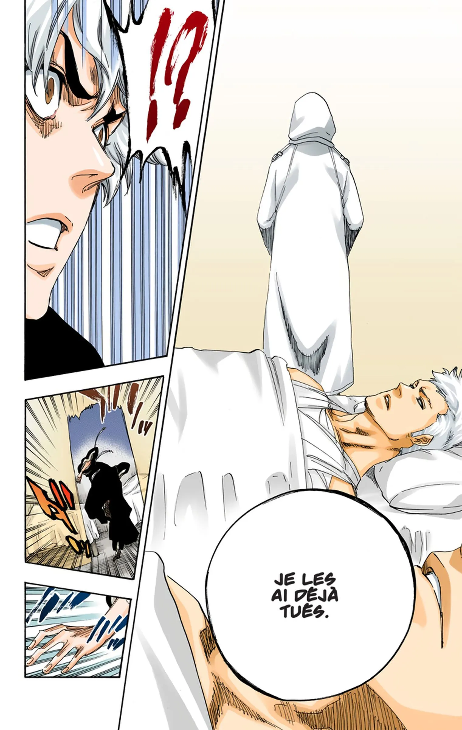 Read Bleach FR Manga Online